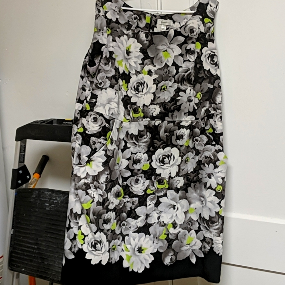 Dressbarn Plus Size Dress